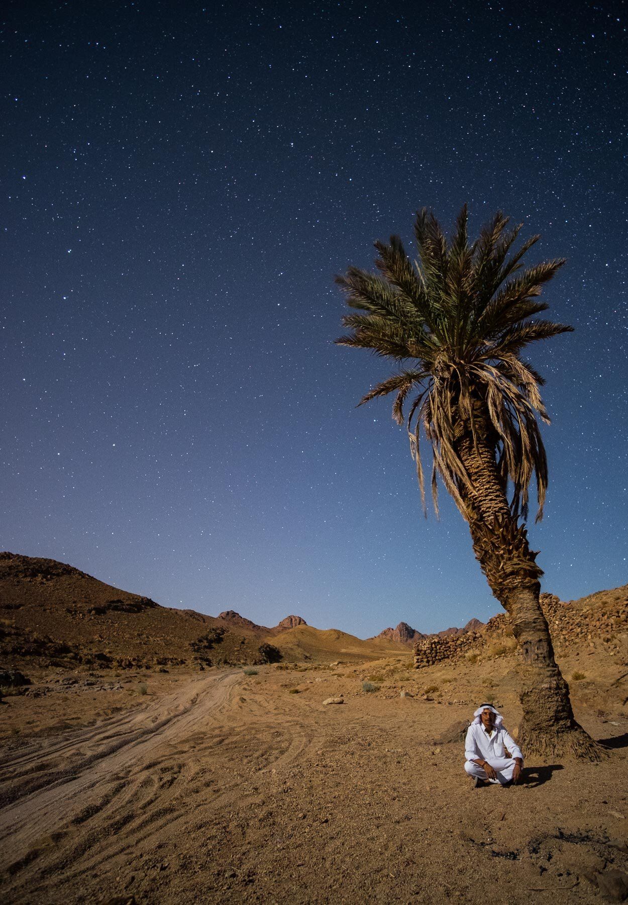 The Bedouin